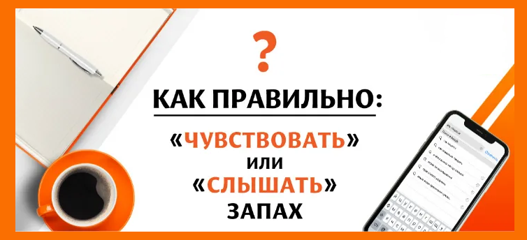 Человек запах слышит или чувствует