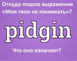 Откуда пошло выражение «Моя твоя не понимать»: что оно означает?