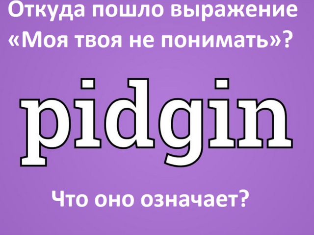 Откуда пошло выражение «Моя твоя не понимать»: что оно означает?