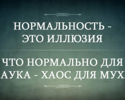 Как красиво и оригинально, в рифму ответить на слово «Нормально»: варианты остроумных и дерзких ответов