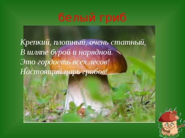 Загадка про белый гриб - боровик