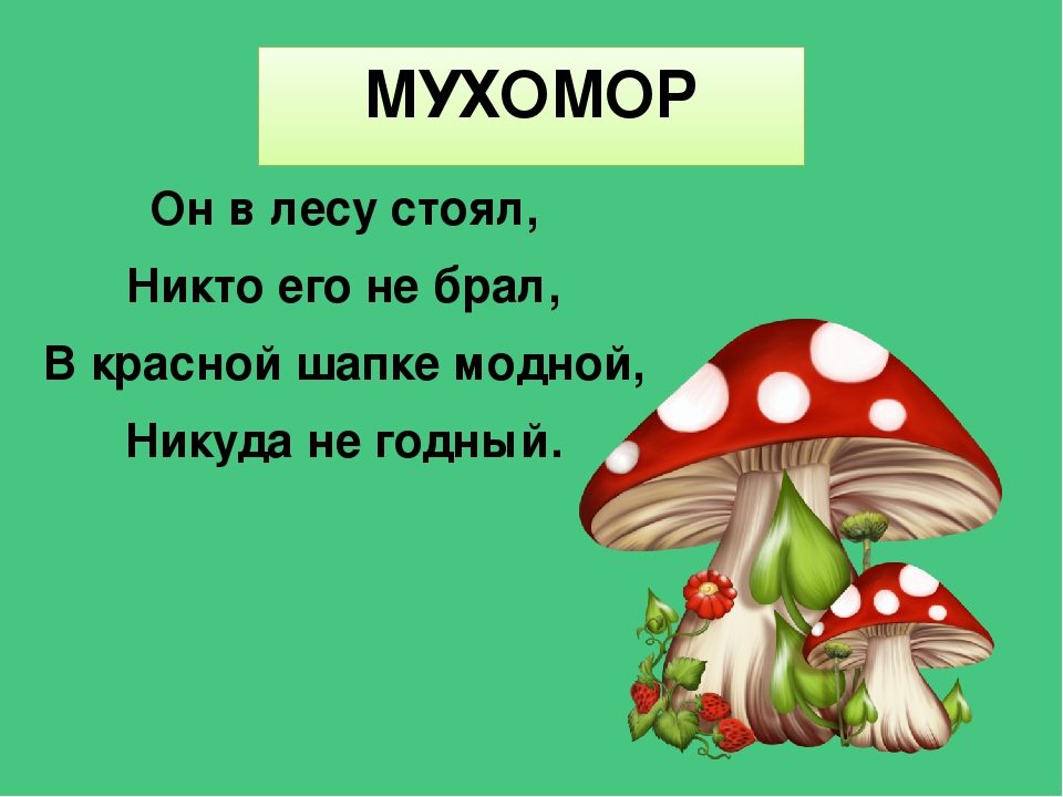 Легкие загадки про грибы - лучшая подборка