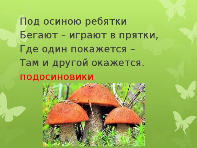 Загадки про грибы для школьников - 1-2 класс