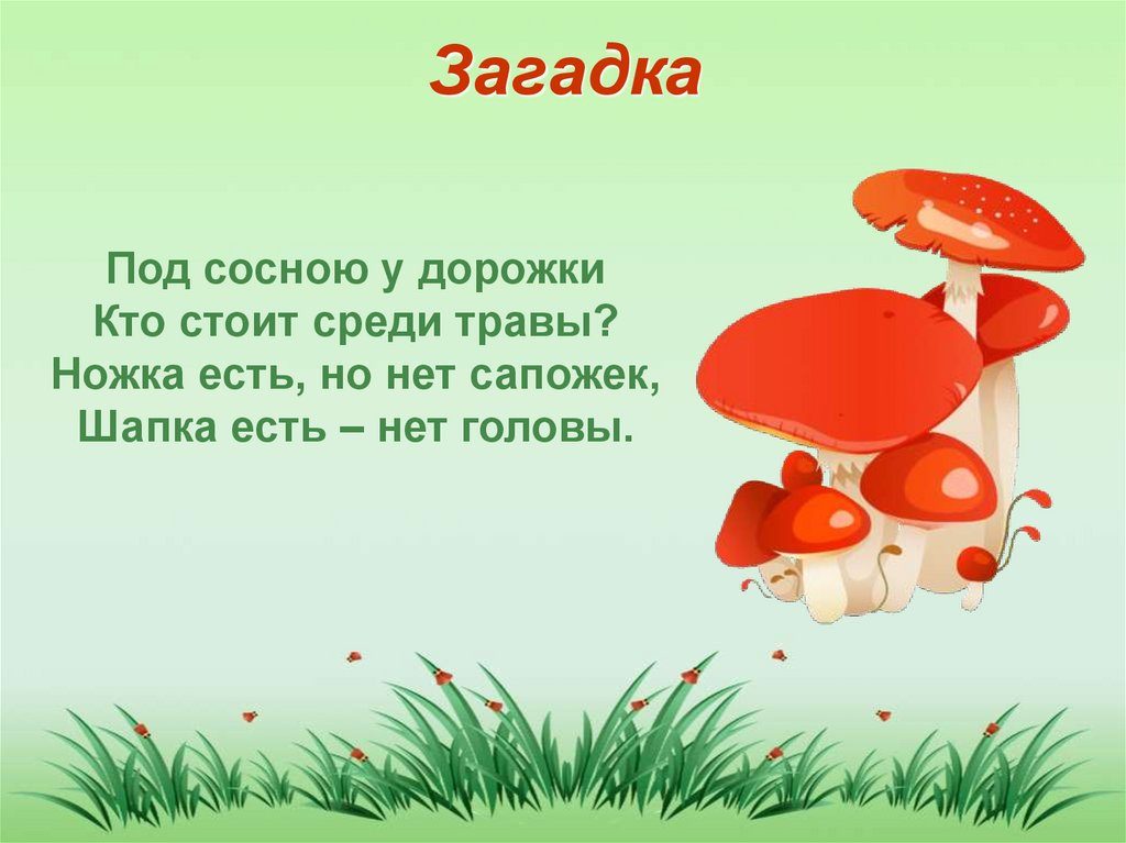 Загадки про грибы для детей