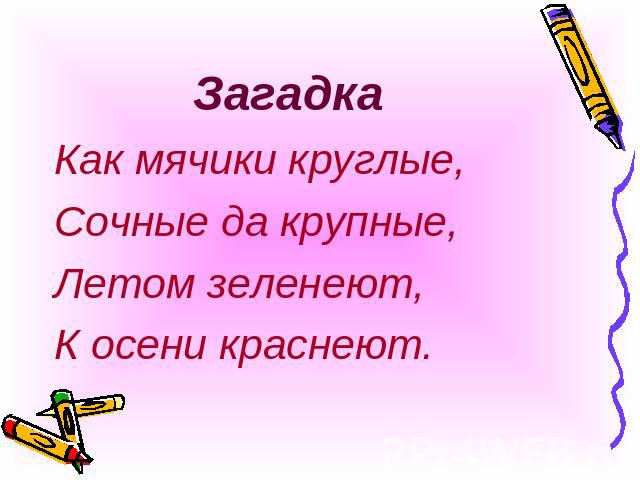 Загадки для школьников - 1, 2, 3, 4 класс