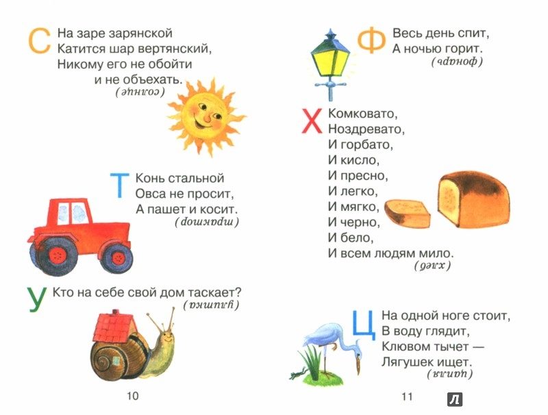 Короткие загадки для школьников с ответами