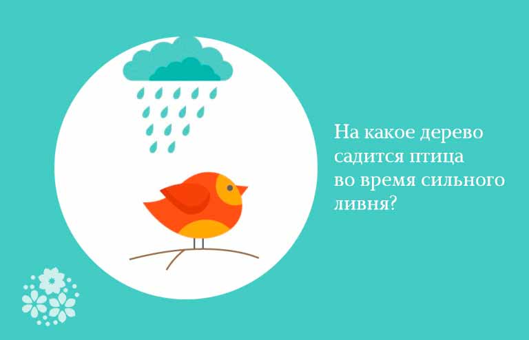 Смешные загадки для подростков
