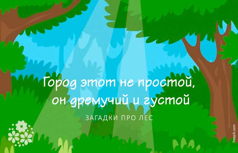Логические загадки с подвохом для подростков