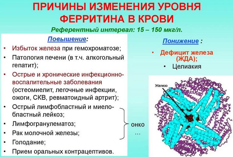 Причины низкого ферритина в крови
