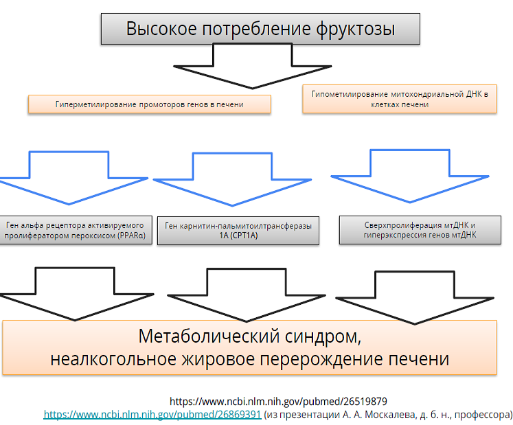 Фруктоза