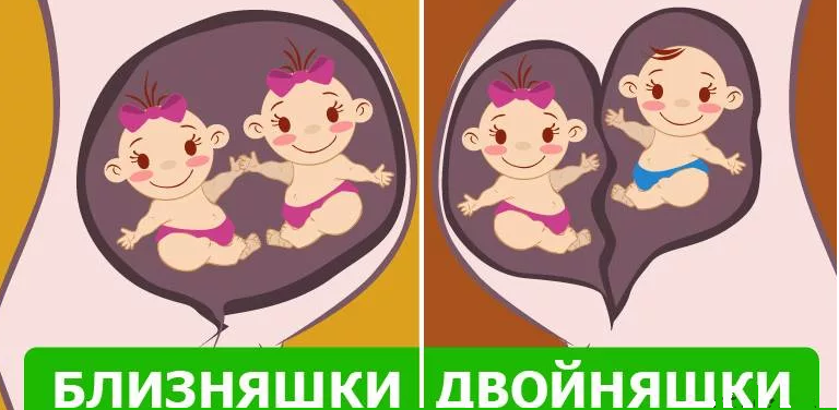 Двойняшки и близняшки