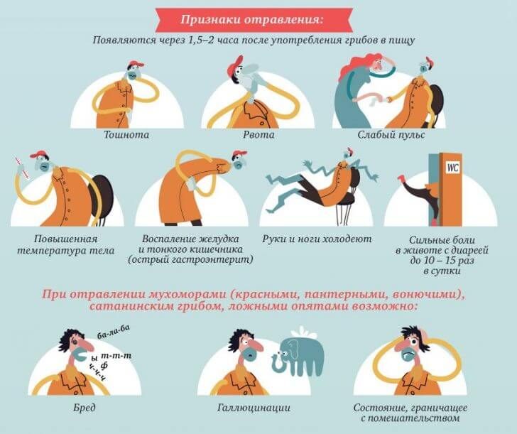 Отравление грибами