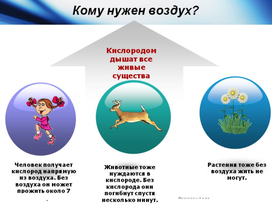 Воздух необходим