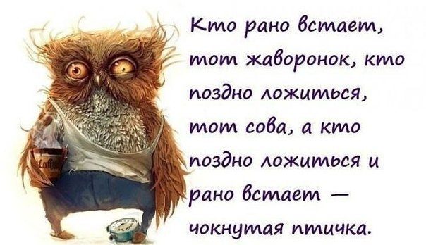 Шуточные картинки с добрым утром