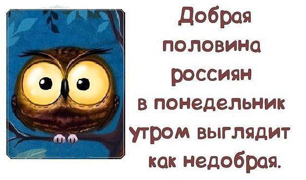 Шуточные картинки с добрым утром