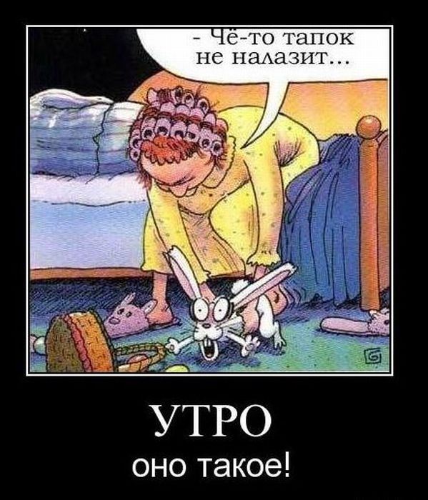 Шуточные картинки с добрым утром