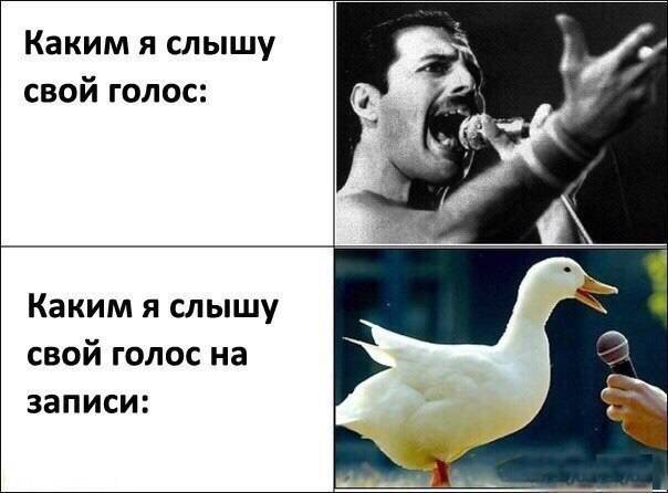 Шуточные картинки с надписями