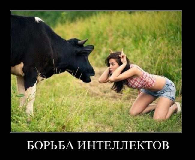 Шуточные картинки для женщин