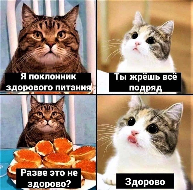 Шуточные картинки для взрослых