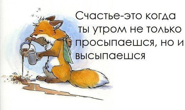 Шуточные картинки с добрым утром