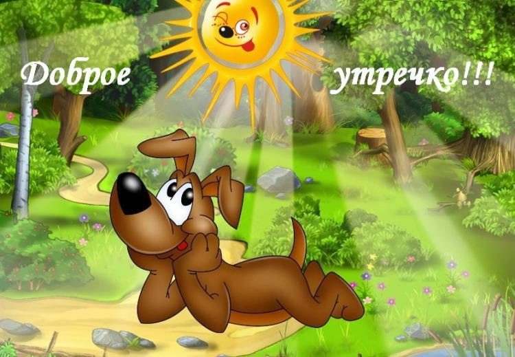 Шуточные картинки с добрым утром