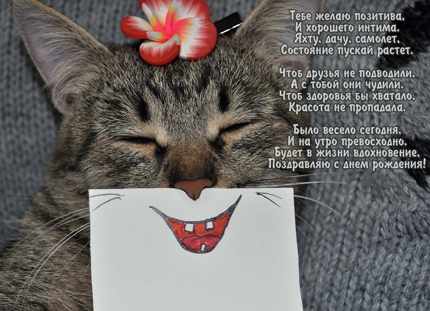 Шуточные картинки с днем рождения