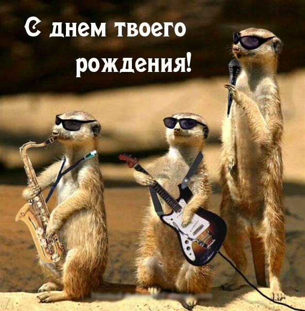 Шуточные картинки с днем рождения