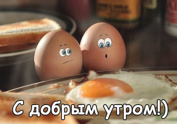Шуточные картинки с добрым утром