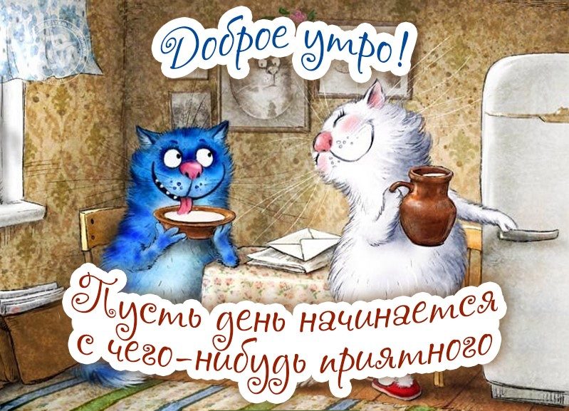 Шуточные картинки с добрым утром