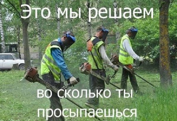 Шуточные картинки с надписями