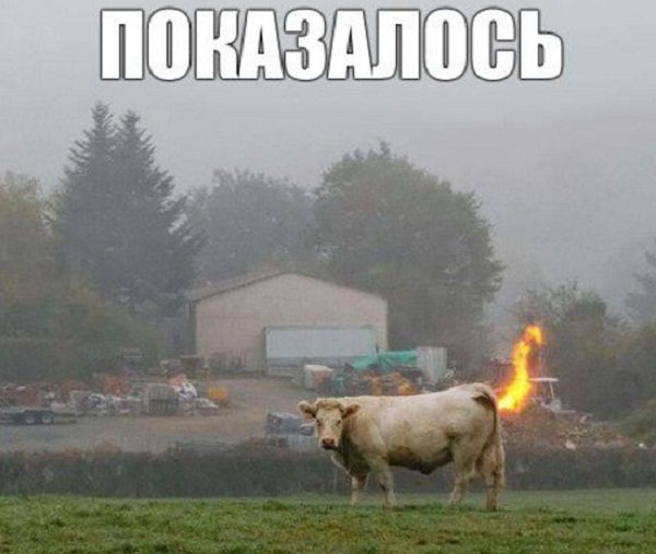 Шуточные картинки с надписями