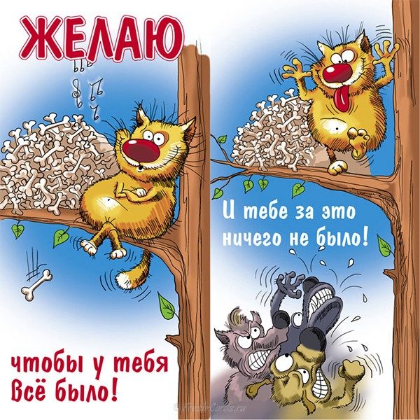 Шуточные картинки с днем рождения