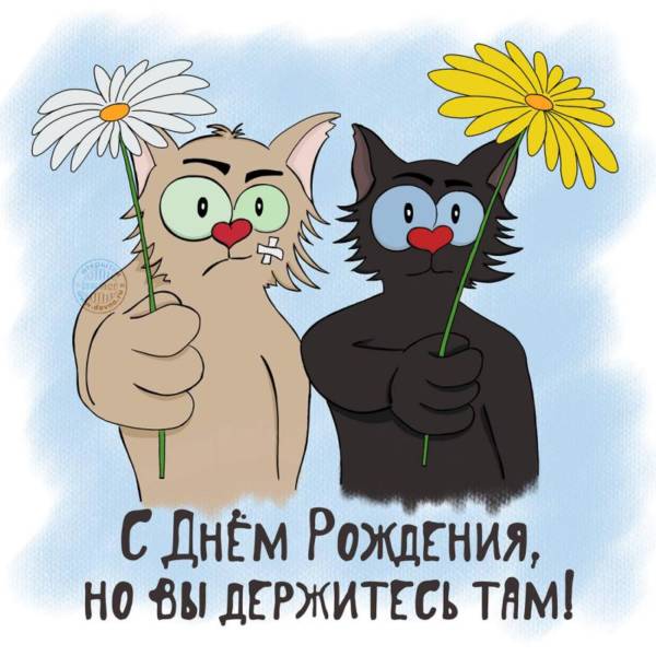 Шуточные картинки с днем рождения
