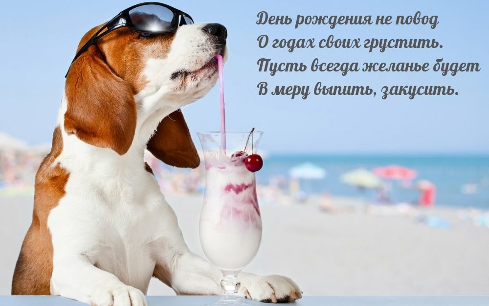 Шуточные картинки с днем рождения