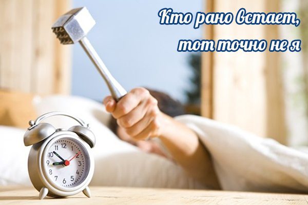 Бесплатные шуточные картинки