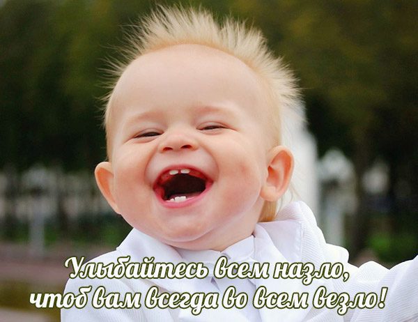 Бесплатные шуточные картинки