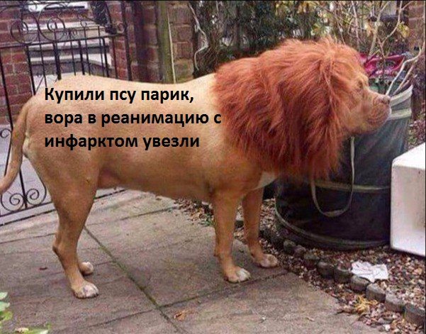 Прикольно шуточные картинки
