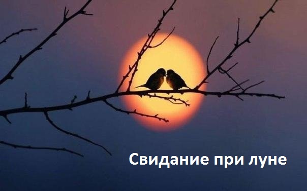 Шуточные смешные картинки