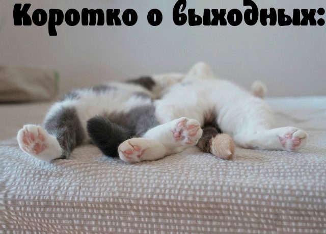 Прикольно шуточные картинки