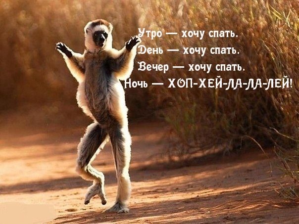 Прикольно шуточные картинки
