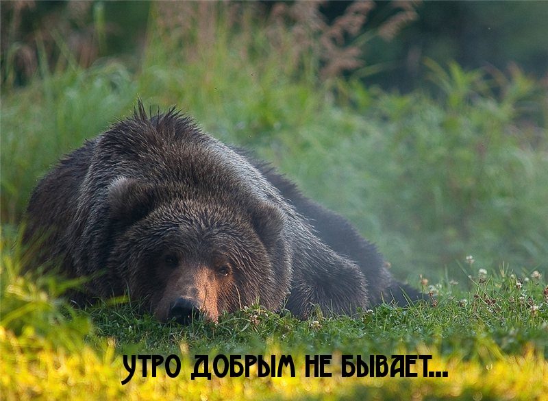 Красивые шуточные картинки