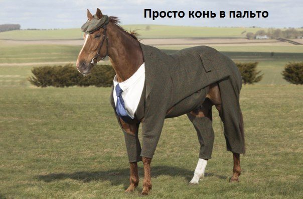 Прикольно шуточные картинки
