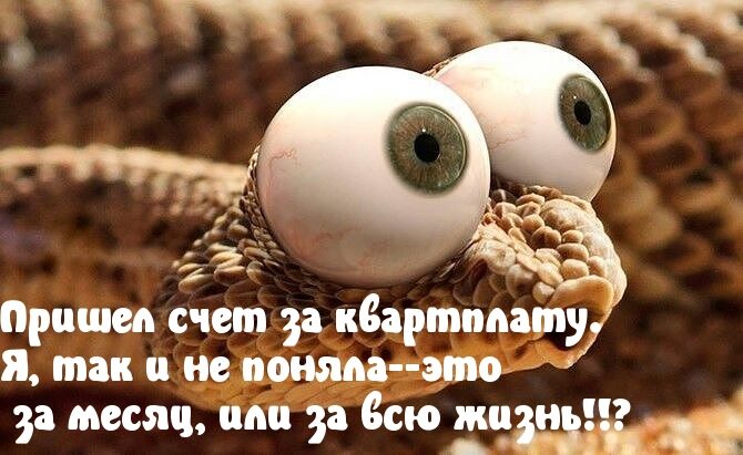 Прикольно шуточные картинки