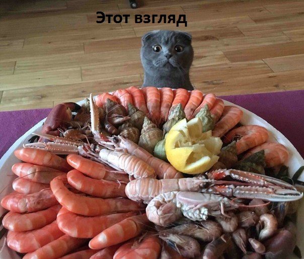 Шуточные смешные картинки
