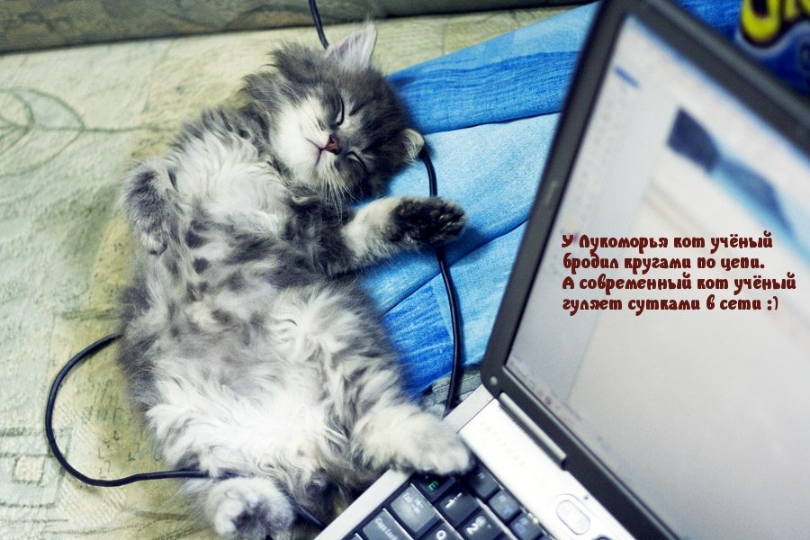 Прикольно шуточные картинки