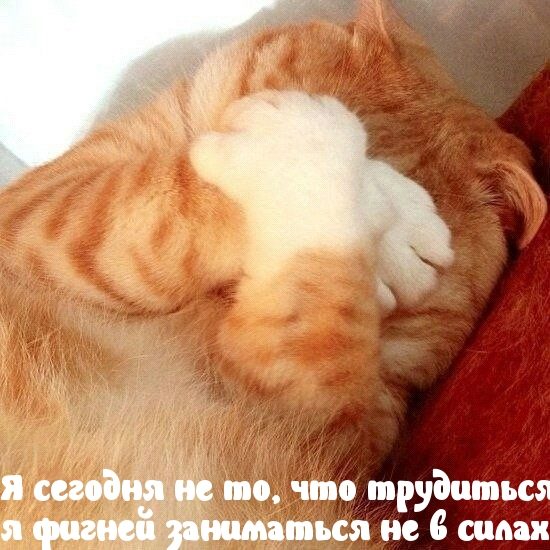 Прикольно шуточные картинки