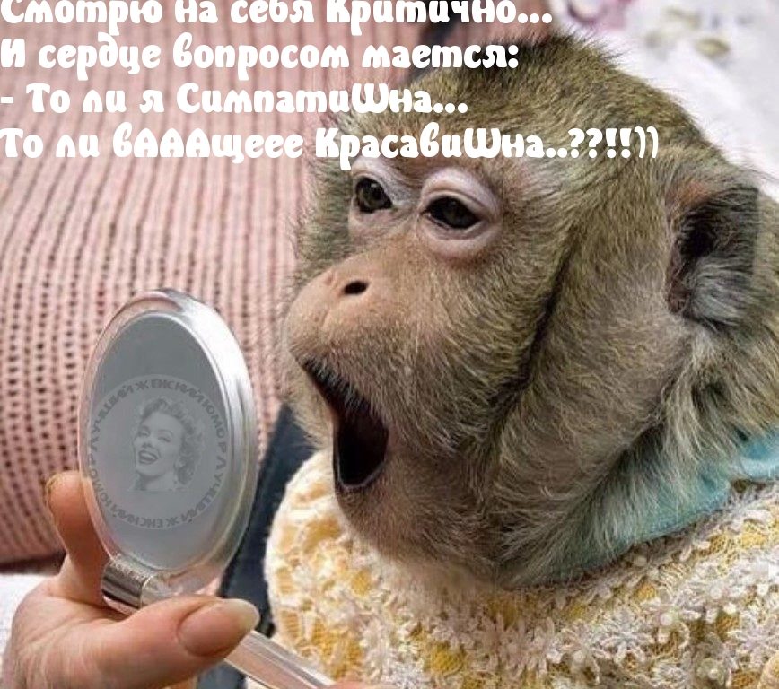 Шуточные смешные картинки