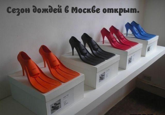 Шуточные картинки для хорошего настроения