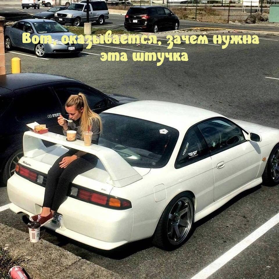 Шуточные смешные картинки