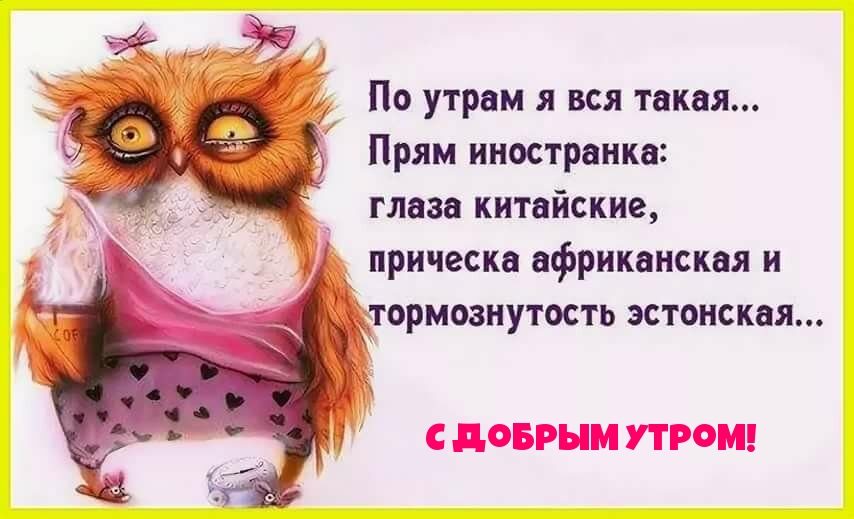 Шуточные картинки с добрым утром